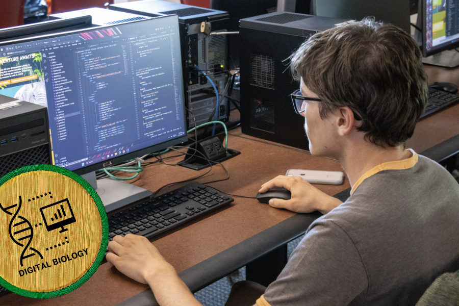 Student working on a  computer